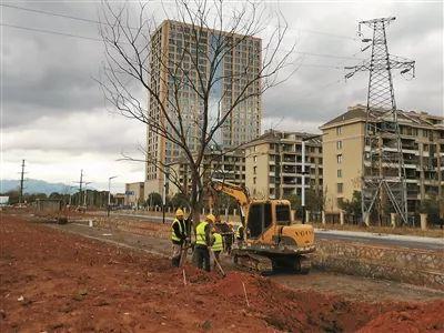 快速教你“衢州都莱辅助挂”原来有挂 难怪会一直输 快速教你“衢州都莱辅助挂”原来有挂 难怪会一直输